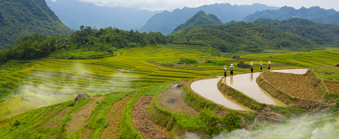 Pu Luong Reserve, a spotlight to explore