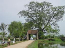 Duong Lam ancient village in Ha Tay province, Vietnam
