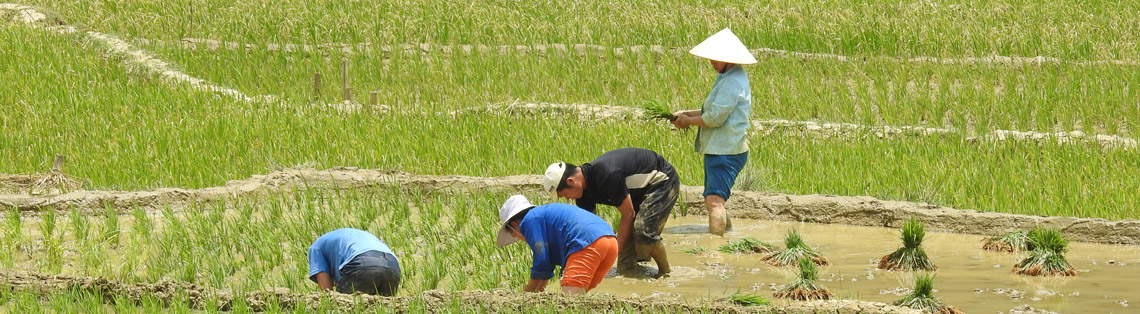 Vietnam Classic Tours