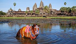 Amazing Vietnam & Cambodia