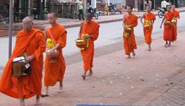 Essence of Indochina