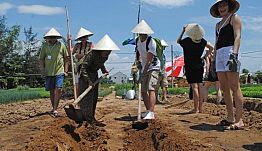 Hoian Cycling, Farming, Cooking 