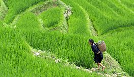 Vietnam Summer - Low Season Promotion