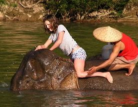 Elephant Experience