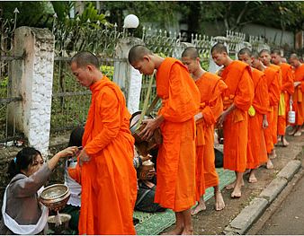 Explore Laos by road
