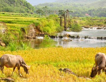 Pu Luong Reserve Discovery